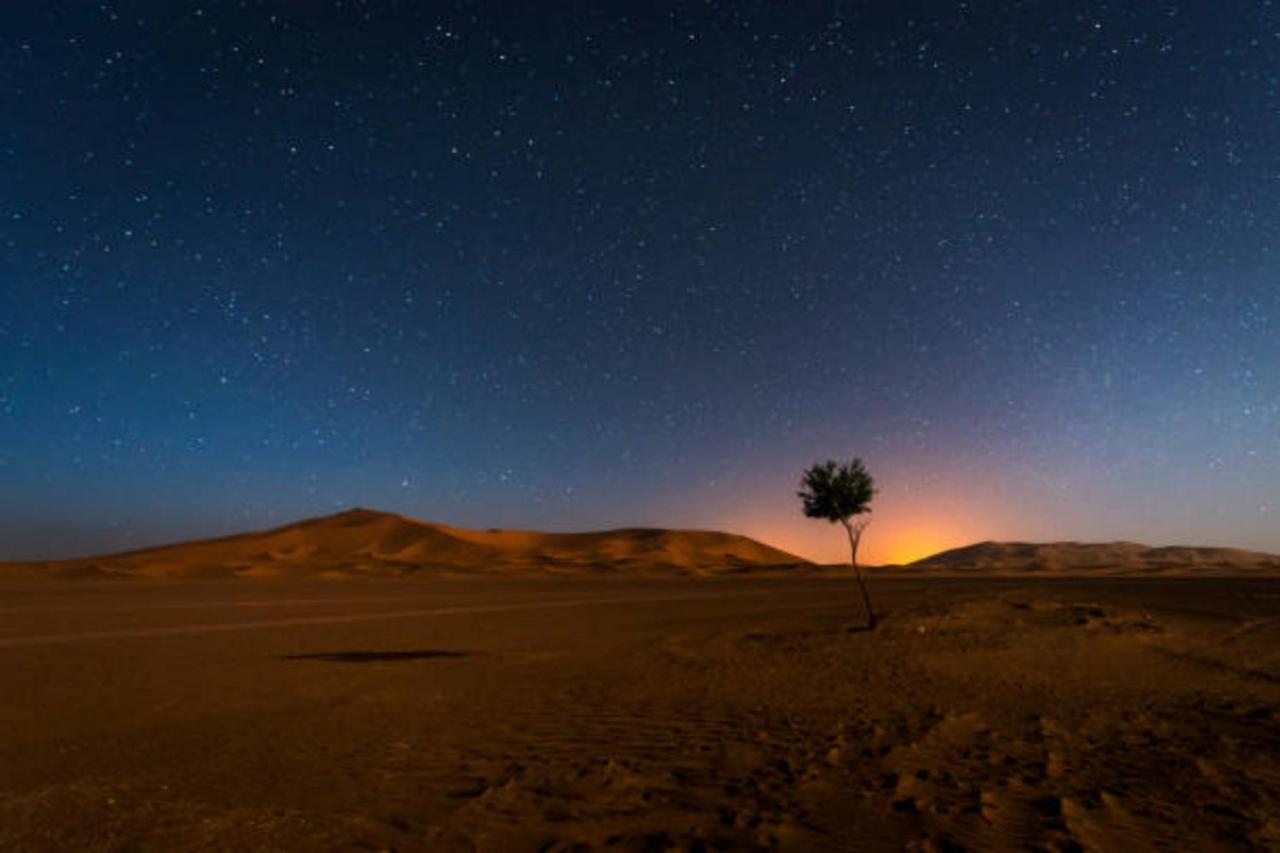 Desert Paradise Luxury Camp Мерзуга Экстерьер фото