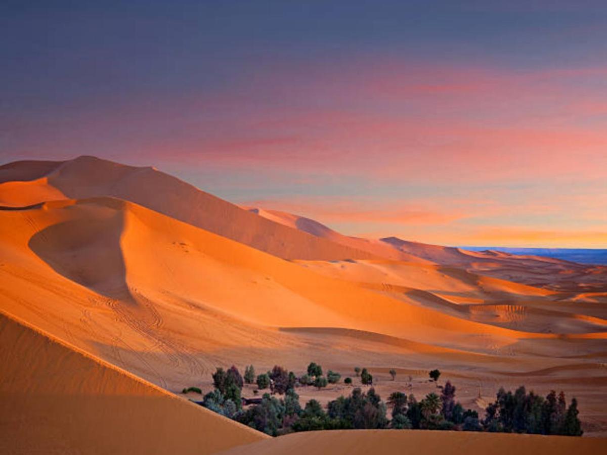 Desert Paradise Luxury Camp Мерзуга Экстерьер фото