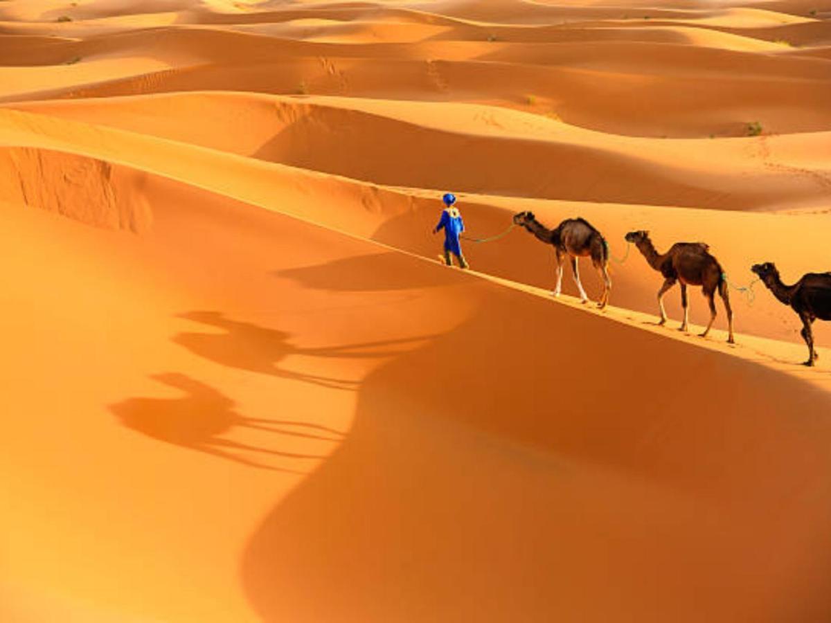 Desert Paradise Luxury Camp Мерзуга Экстерьер фото