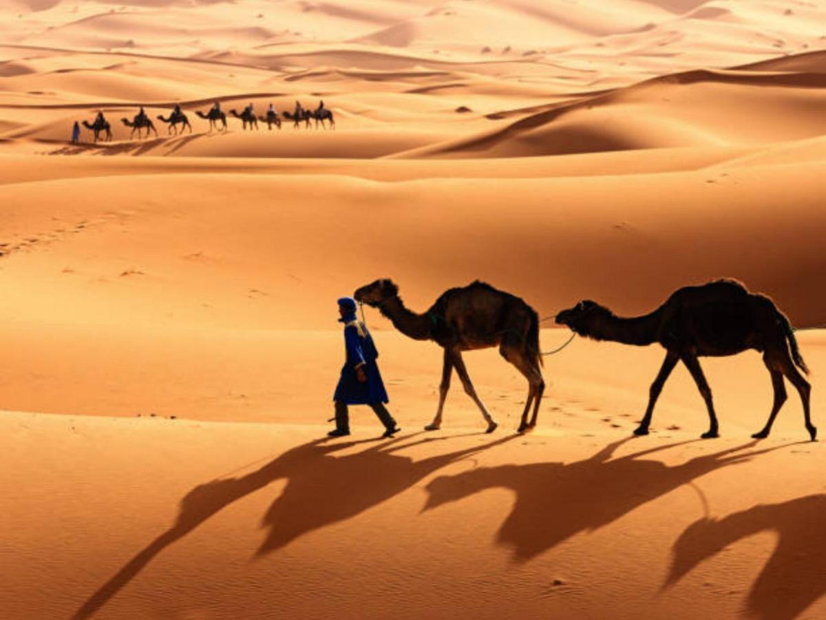 Desert Paradise Luxury Camp Мерзуга Экстерьер фото